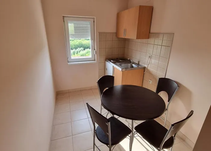 Vila Minja Soko Banja