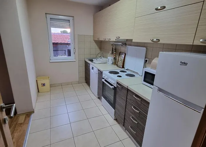 Minja Vila Soko Banja