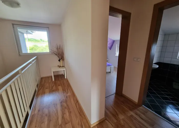 Minja Vila Soko Banja